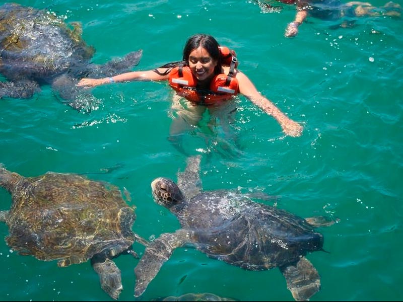Tour Nadando con las Tortugas